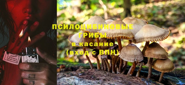 гидропоника Абаза