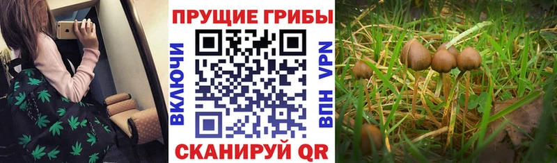 Галлюциногенные грибы прущие грибы гидра зеркало Краснодар хочу